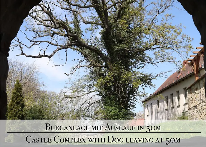 Natur-ferien-haus, Klein Rosenburg, Design-ferienhaus An Der Burg, Wallbox, 100mbit Wlan & Zaun *